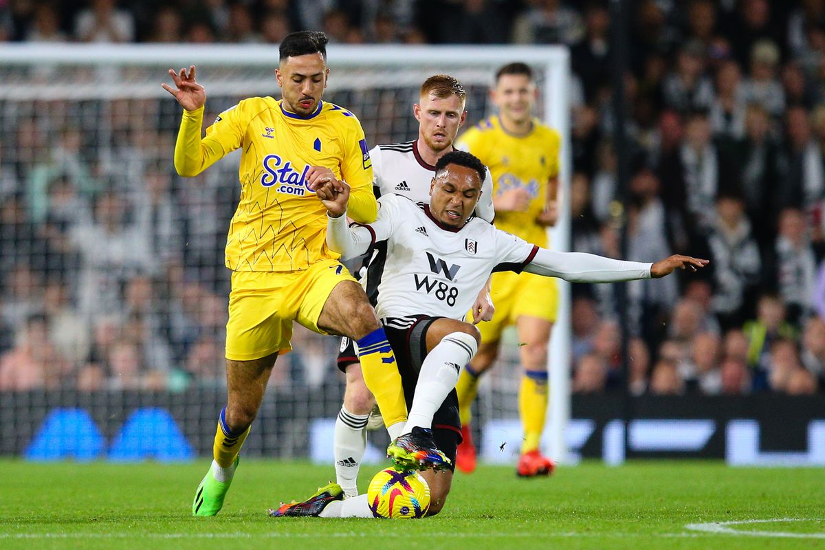 Hinh anh 2: Nhan dinh Fulham vs Everton Ngoai hang Anh 10/05